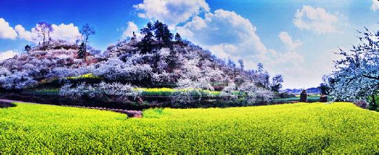 西江千户苗寨,金海雪山,荔波小七孔,青岩古镇,花溪湿地公园双飞五日游